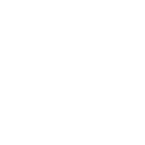 icon-libertadores